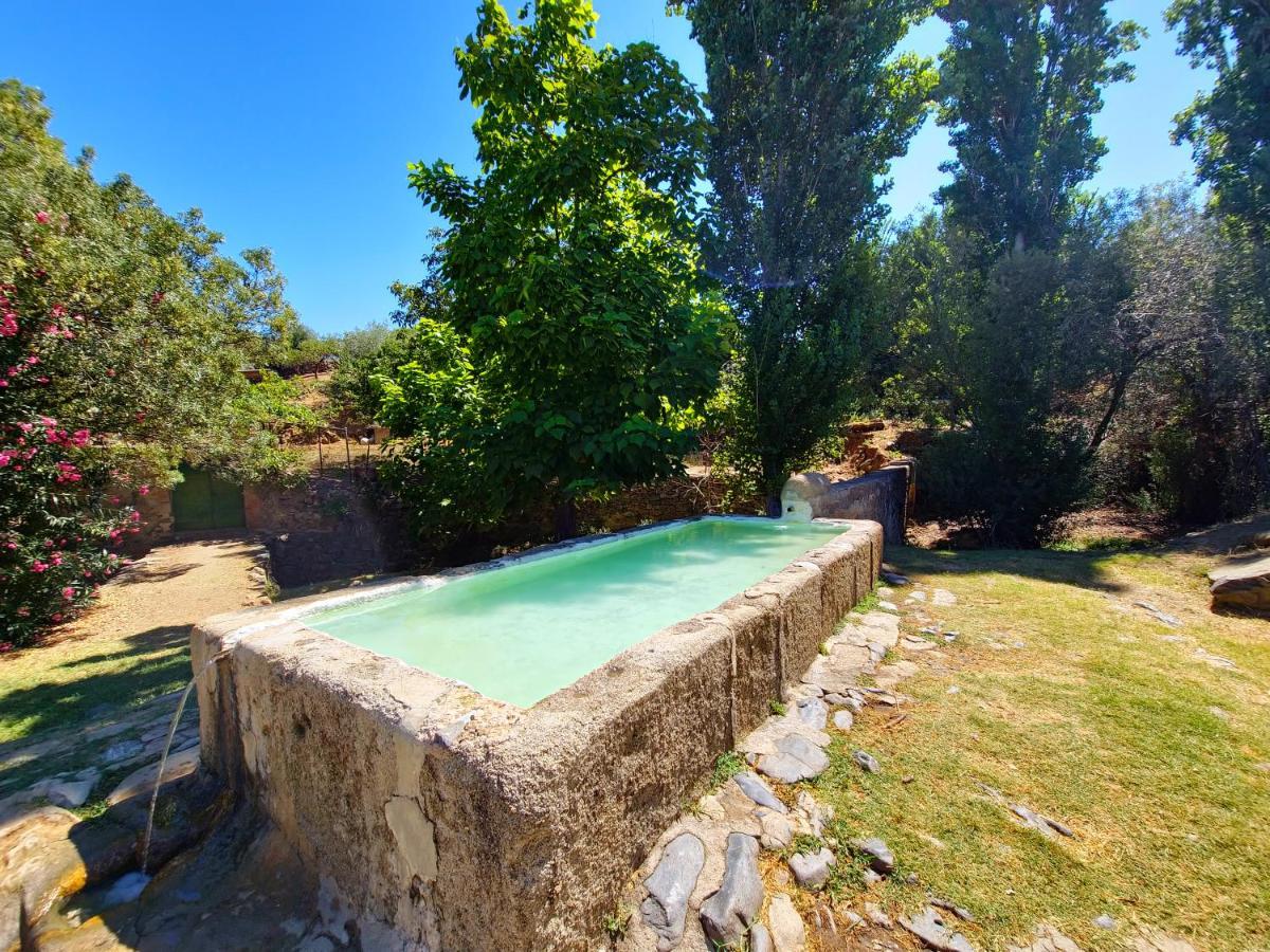 Apartamentos Rurales Tinguaton Aldeanueva de Barbarroya Exteriér fotografie